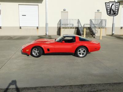 1981 Chevrolet Corvette