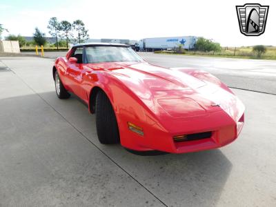 1981 Chevrolet Corvette