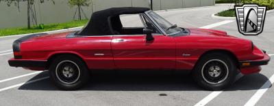 1986 Alfa Romeo Spider