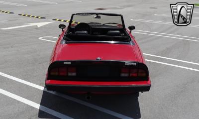 1986 Alfa Romeo Spider