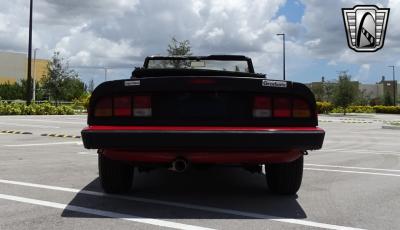 1986 Alfa Romeo Spider