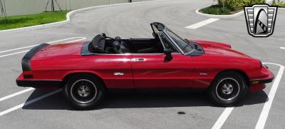 1986 Alfa Romeo Spider