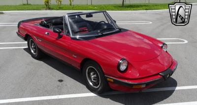 1986 Alfa Romeo Spider