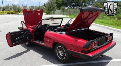 1986 Alfa Romeo Spider