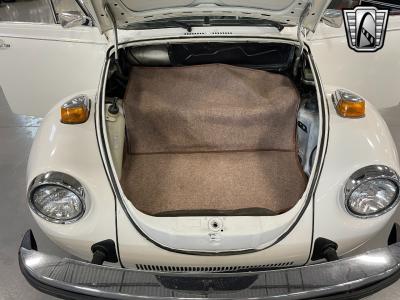 1979 Volkswagen Beetle