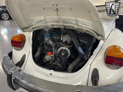 1979 Volkswagen Beetle