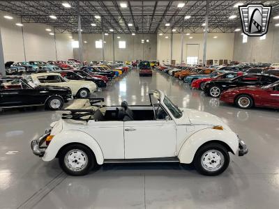 1979 Volkswagen Beetle