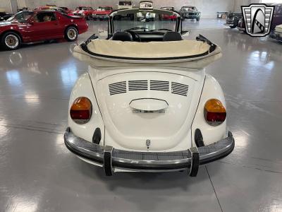 1979 Volkswagen Beetle