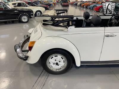 1979 Volkswagen Beetle