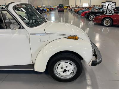 1979 Volkswagen Beetle