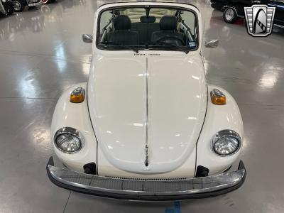 1979 Volkswagen Beetle