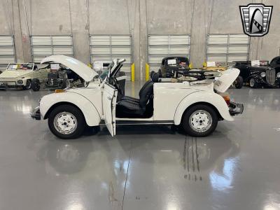 1979 Volkswagen Beetle