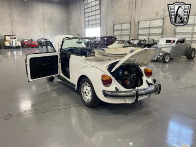 1979 Volkswagen Beetle