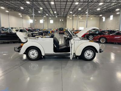 1979 Volkswagen Beetle