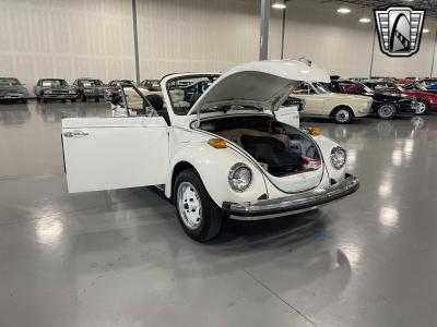 1979 Volkswagen Beetle