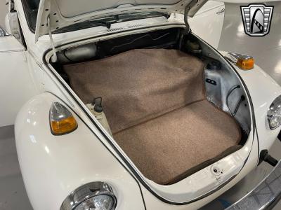 1979 Volkswagen Beetle