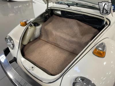 1979 Volkswagen Beetle