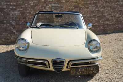 1967 Alfa Romeo Spider Duetto 1600