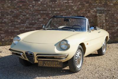 1967 Alfa Romeo Spider Duetto 1600