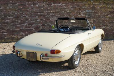 1967 Alfa Romeo Spider Duetto 1600