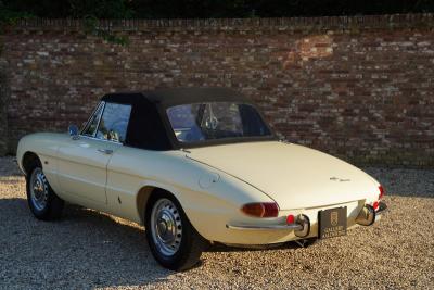 1967 Alfa Romeo Spider Duetto 1600