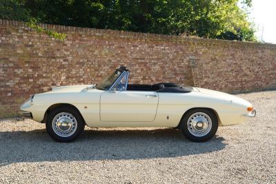 1967 Alfa Romeo Spider Duetto 1600