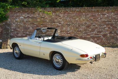 1967 Alfa Romeo Spider Duetto 1600