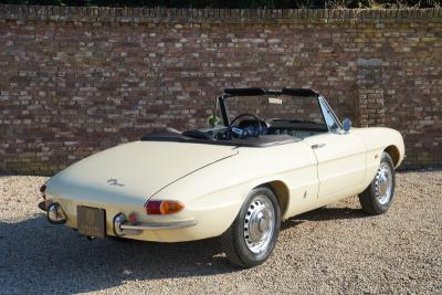 1967 Alfa Romeo Spider Duetto 1600