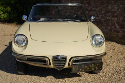 1967 Alfa Romeo Spider Duetto 1600