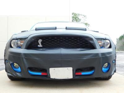 2010 Ford Mustang