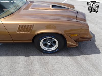 1979 Chevrolet Camaro