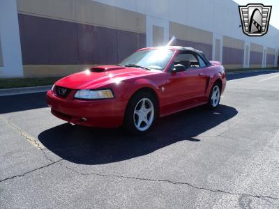 1999 Ford Mustang