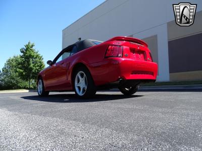 1999 Ford Mustang