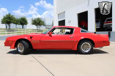 1977 Pontiac Firebird