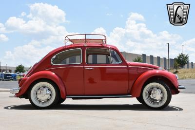 1968 Volkswagen Beetle