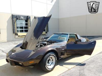 1978 Chevrolet Corvette