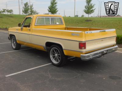 1979 Chevrolet C10