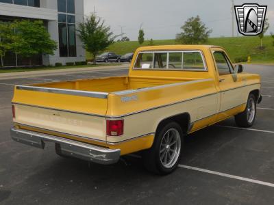 1979 Chevrolet C10