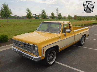 1979 Chevrolet C10