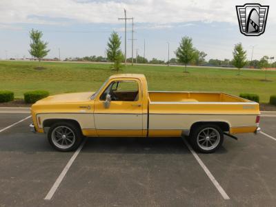 1979 Chevrolet C10