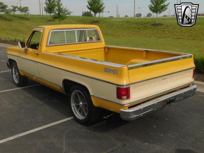 1979 Chevrolet C10