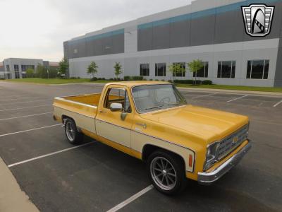 1979 Chevrolet C10