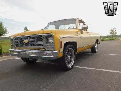 1979 Chevrolet C10