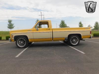 1979 Chevrolet C10