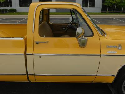 1979 Chevrolet C10