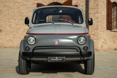 1971 Fiat 500 Freestyle