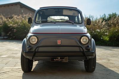 1971 Fiat 500 Freestyle