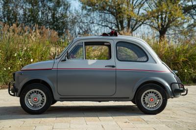 1971 Fiat 500 Freestyle