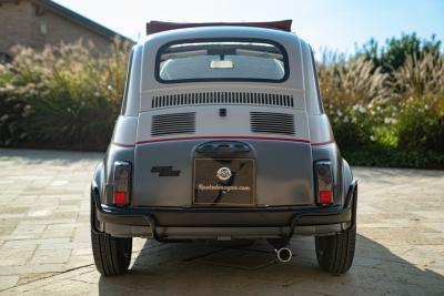 1971 Fiat 500 Freestyle