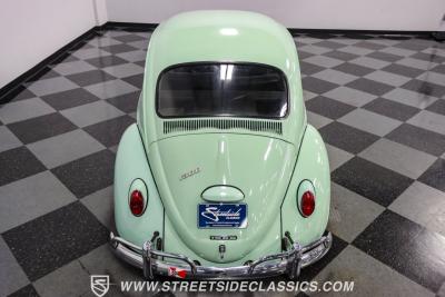 1966 Volkswagen Beetle